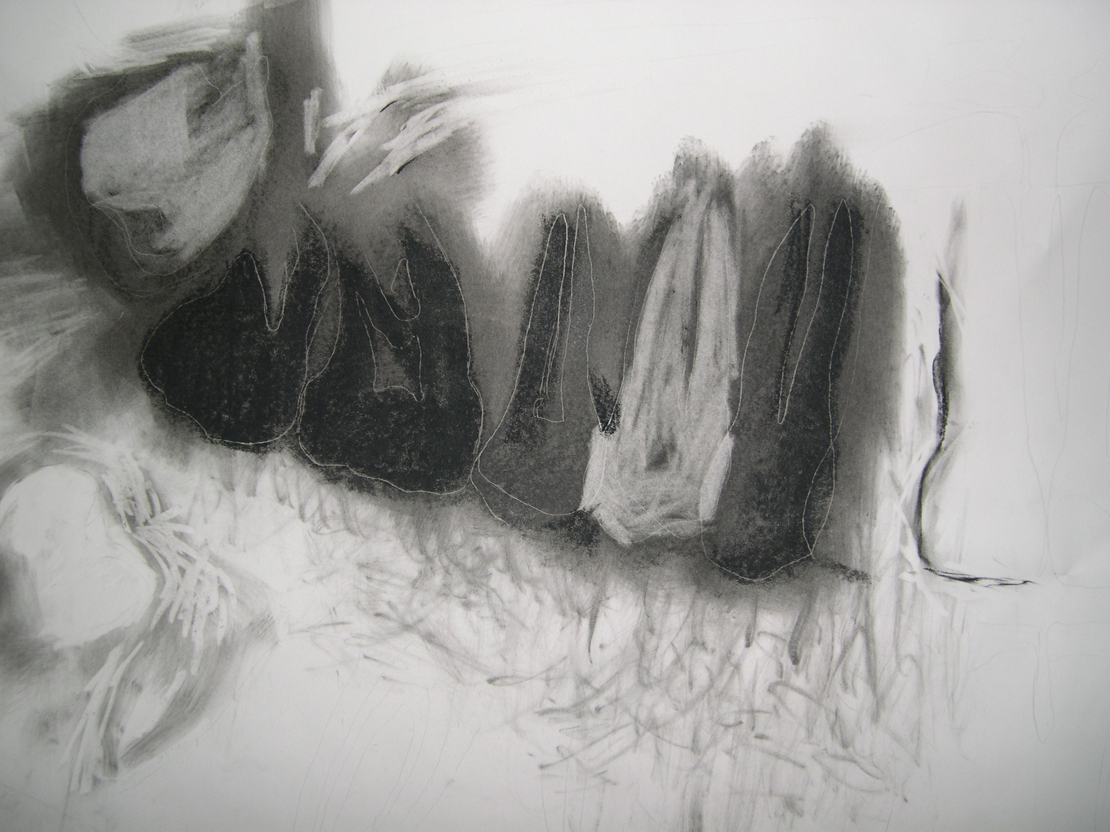 Detail - Four Wisdoms - Drawing of Xray of full set of teeth - Charcoal on paper